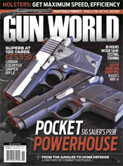 Gun World